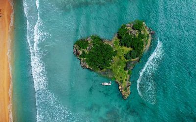 Cinco Alimentos para llevar a una isla desierta