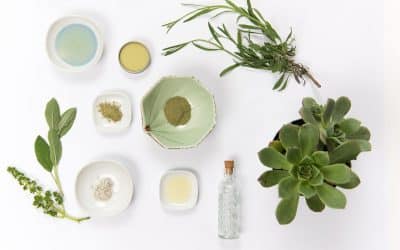 Cosmética natural casera hojas del olivo y parra