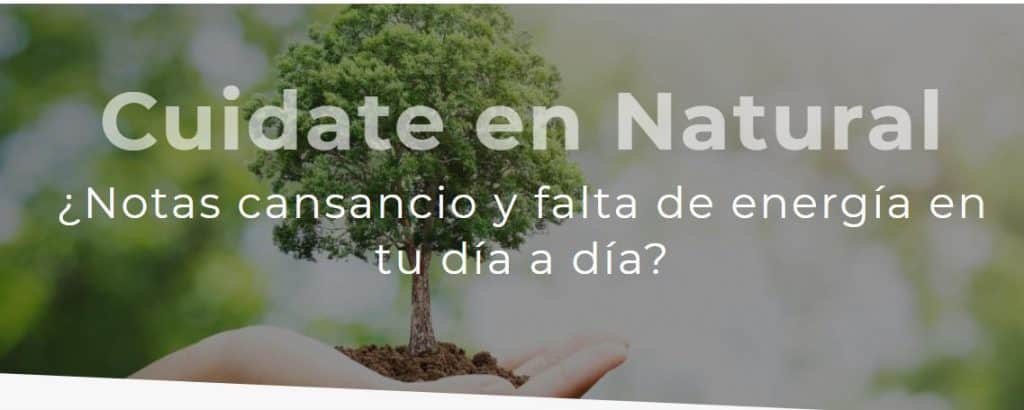 El Elixir Verde: Descubre los Poderosos Beneficios de las Hojas de Olivo 1 - 27 Las hojas de olivo son un regalo de la naturaleza que nos ofrece múltiples beneficios para la salud. Al incorporarlas a nuestra rutina diaria, podemos mejorar nuestra calidad de vida y prevenir diversas enfermedades.