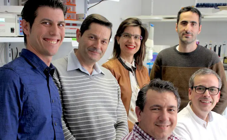 Hojas de Olivo: Descubrimiento en Cicatrización Heridas Crónicas por Científicos de Murcia 1 - 27 Los avances en la ciencia nos demuestran que la naturaleza sigue siendo una aliada invaluable en la búsqueda de la salud y el bienestar. Con investigaciones como esta, las hojas de olivo se perfilan como una esperanza real para quienes enfrentan heridas crónicas
