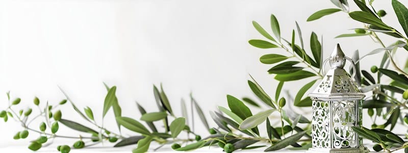 Infusion hojas de olivo olife descubierto una investigación pionera realizada en la comunidad de Murcia, que destaca las propiedades de las hojas de olivo en la cicatrización de heridas crónicas.