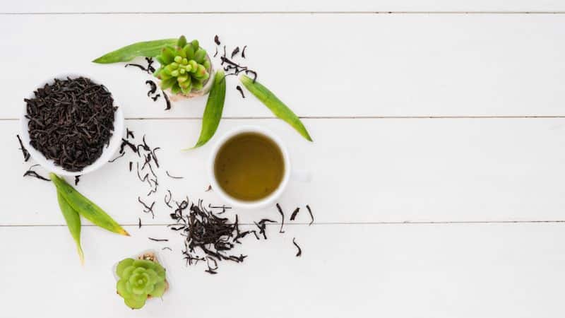 4 Beneficios de la Infusión de Hojas de Olivo para la Salud Digestiva y General 1 - 27 Olife infusion hojasolivo salud 2 - 27