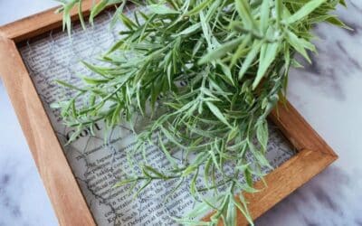 Efectos de Olife® en la salud hepática: Un estudio sobre este suplemento natural